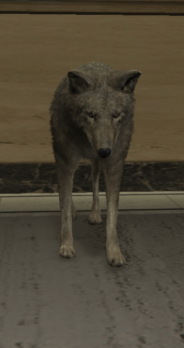 Coyote — FiveM ped hash picture