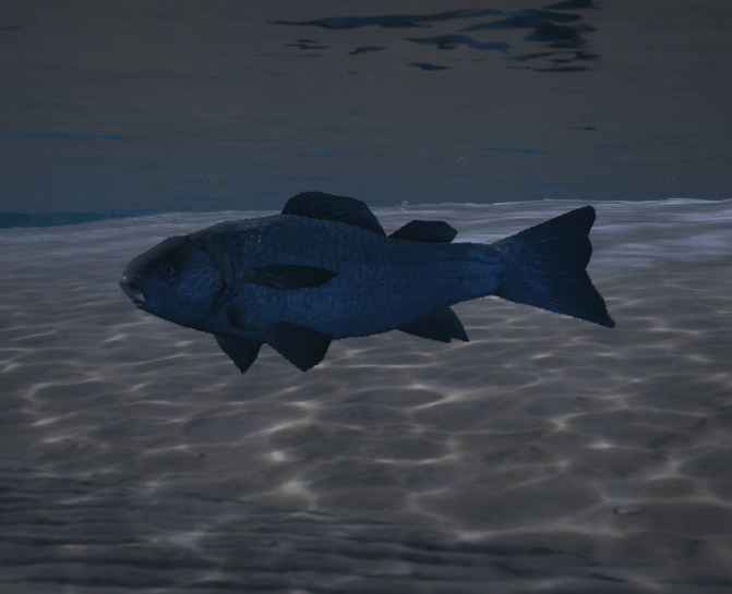 Fish — FiveM ped hash picture