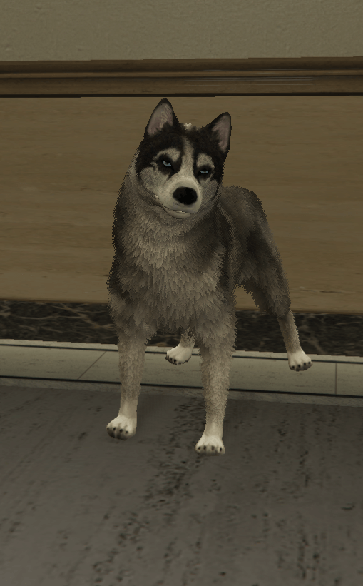 Husky — FiveM ped hash picture