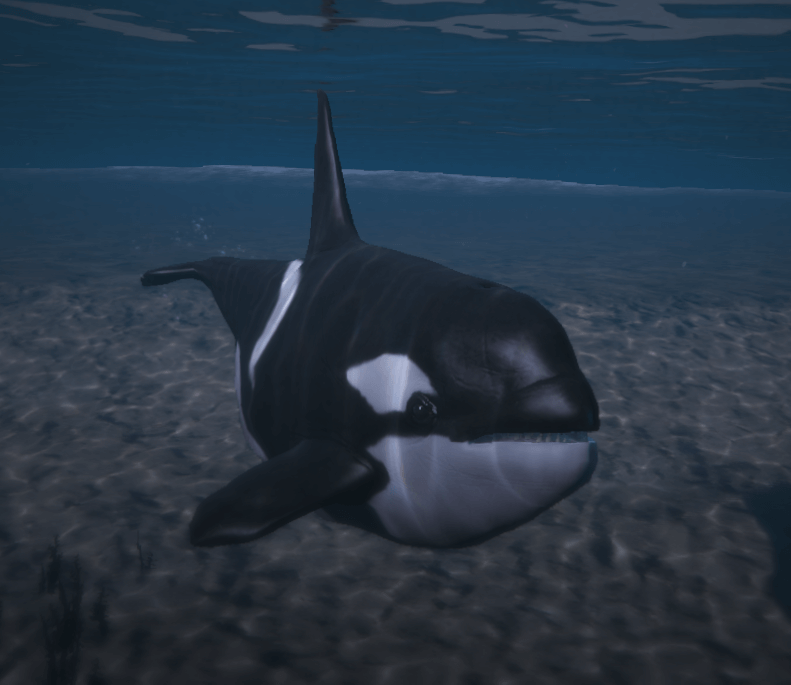 KillerWhale — FiveM ped hash picture