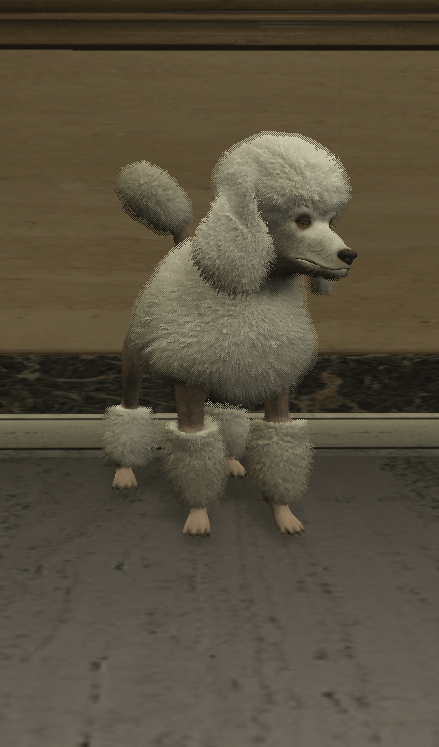 Poodle — FiveM ped hash picture