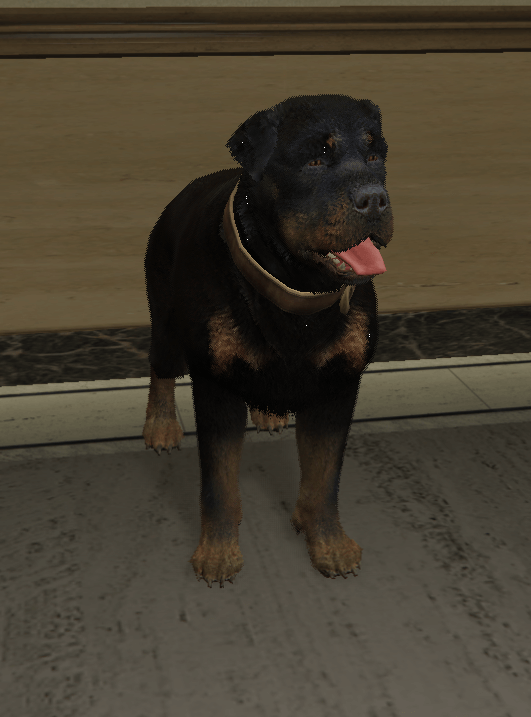 Rottweiler — FiveM ped hash picture