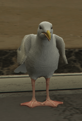 Seagull — FiveM ped hash picture