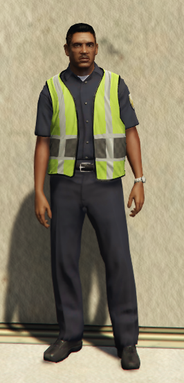 TrafficWardenCutscene — FiveM ped hash picture