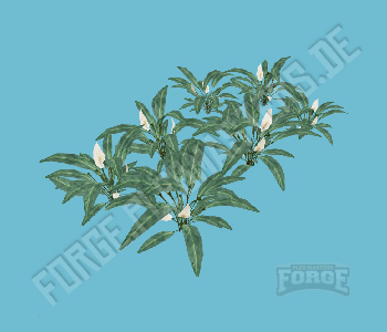 apa_mp_h_01_living_plant1 — FiveM object hash picture