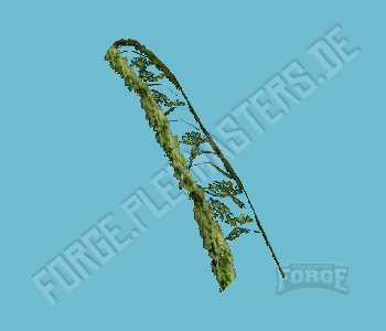 ch1_06f_hedged_44 — FiveM object hash picture