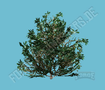 ch2_10_props_prop_am_box_wood_01_rsref456 — FiveM object hash picture