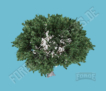 prop_tree_olive_cr2 — FiveM object hash picture
