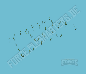 ch1_04b_vineslmbs_19 — FiveM object hash picture