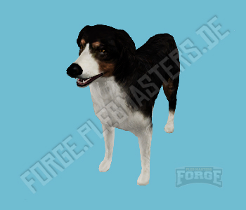 A_C_shepherd — FiveM ped hash