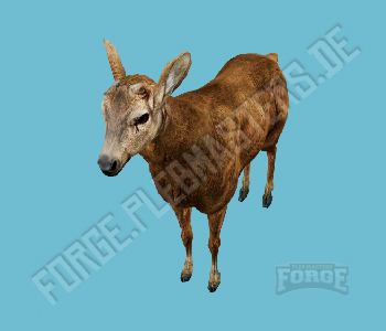 A_C_Deer — FiveM ped hash