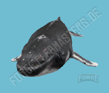 A_C_HumpBack — FiveM ped hash
