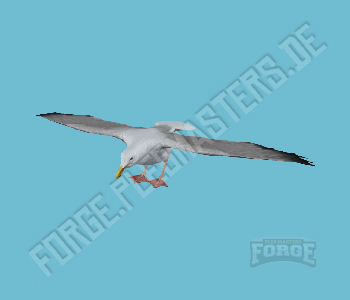 A_C_Seagull — FiveM ped hash