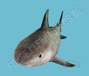 A_C_SharkTiger — FiveM ped hash