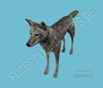 A_C_Coyote — FiveM ped hash