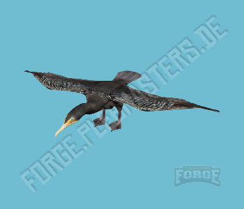 A_C_Cormorant — FiveM ped hash