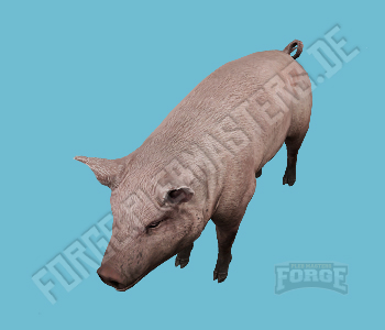 A_C_Pig — FiveM ped hash