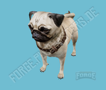 A_C_Pug — FiveM ped hash