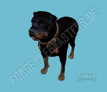 A_C_Rottweiler — FiveM ped hash