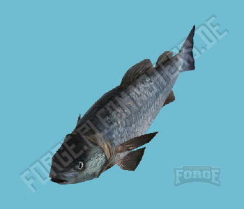 A_C_Fish — FiveM ped hash