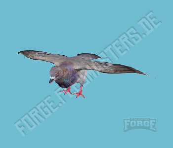 A_C_Pigeon — FiveM ped hash