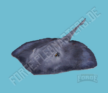 A_C_Stingray — FiveM ped hash