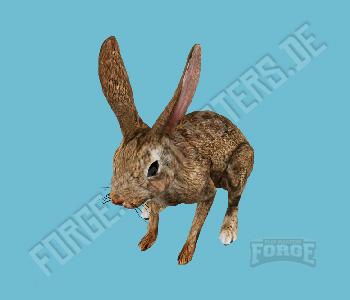 A_C_Rabbit_01 — FiveM ped hash