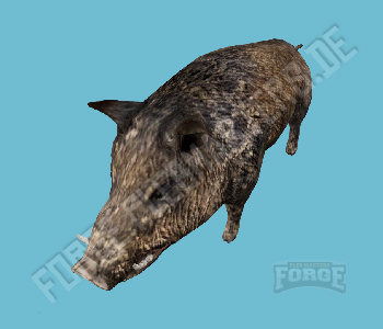 A_C_Boar — FiveM ped hash