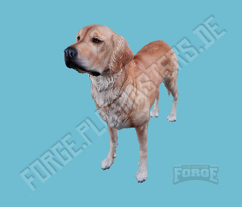 A_C_Retriever — FiveM ped hash