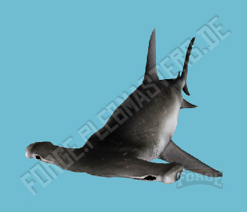 A_C_SharkHammer — FiveM ped hash